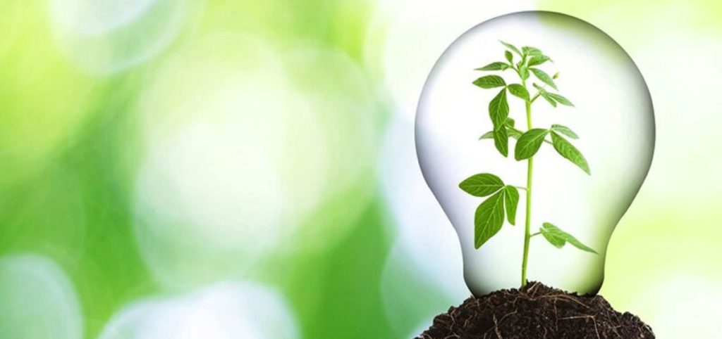 How Grand Stand Events can help you make greener choices - and it’s not just our logo!